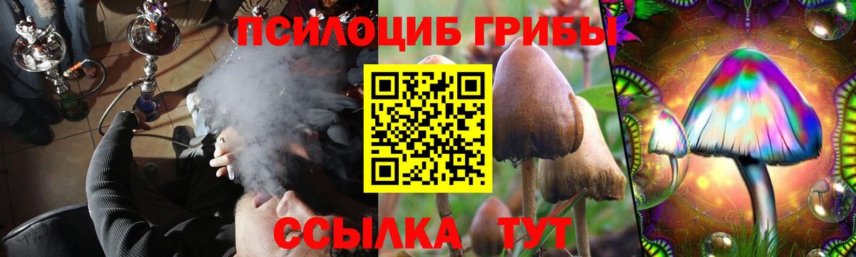 Галлюциногенные грибы GOLDEN TEACHER Благовещенск